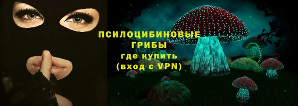 PSILOCYBIN Абдулино