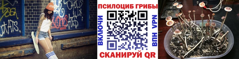 ОМГ ОМГ сайт  Северодвинск  Псилоцибиновые грибы MAGIC MUSHROOMS 